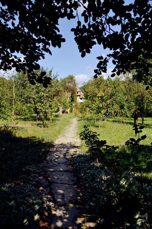 Villa Castelul Maria Banpotoc Zewnętrze zdjęcie