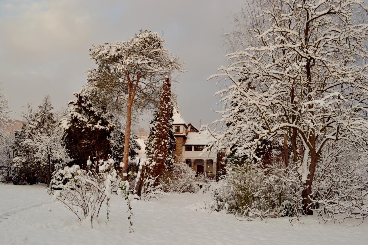 Villa Castelul Maria Banpotoc Zewnętrze zdjęcie